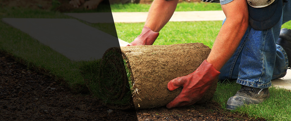 Longmeadow Landscapers